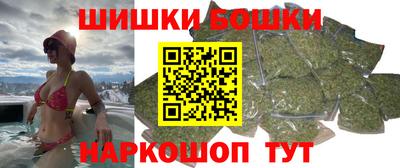МДПВ Гатчина