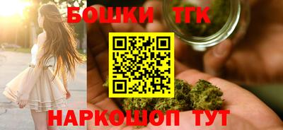 МДПВ Гатчина