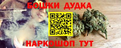 МДПВ Гатчина