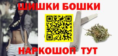 МДПВ Гатчина