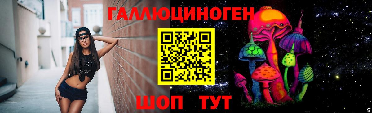 Новокубанск  Галлюциногенные грибы GOLDEN TEACHER  Вход с VPN  купить закладку  Псилоцибиновые грибы Magic Shrooms 